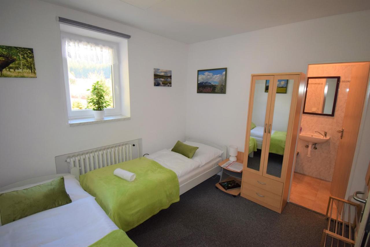 Pension St. Moritz Zelezna Ruda Exterior photo